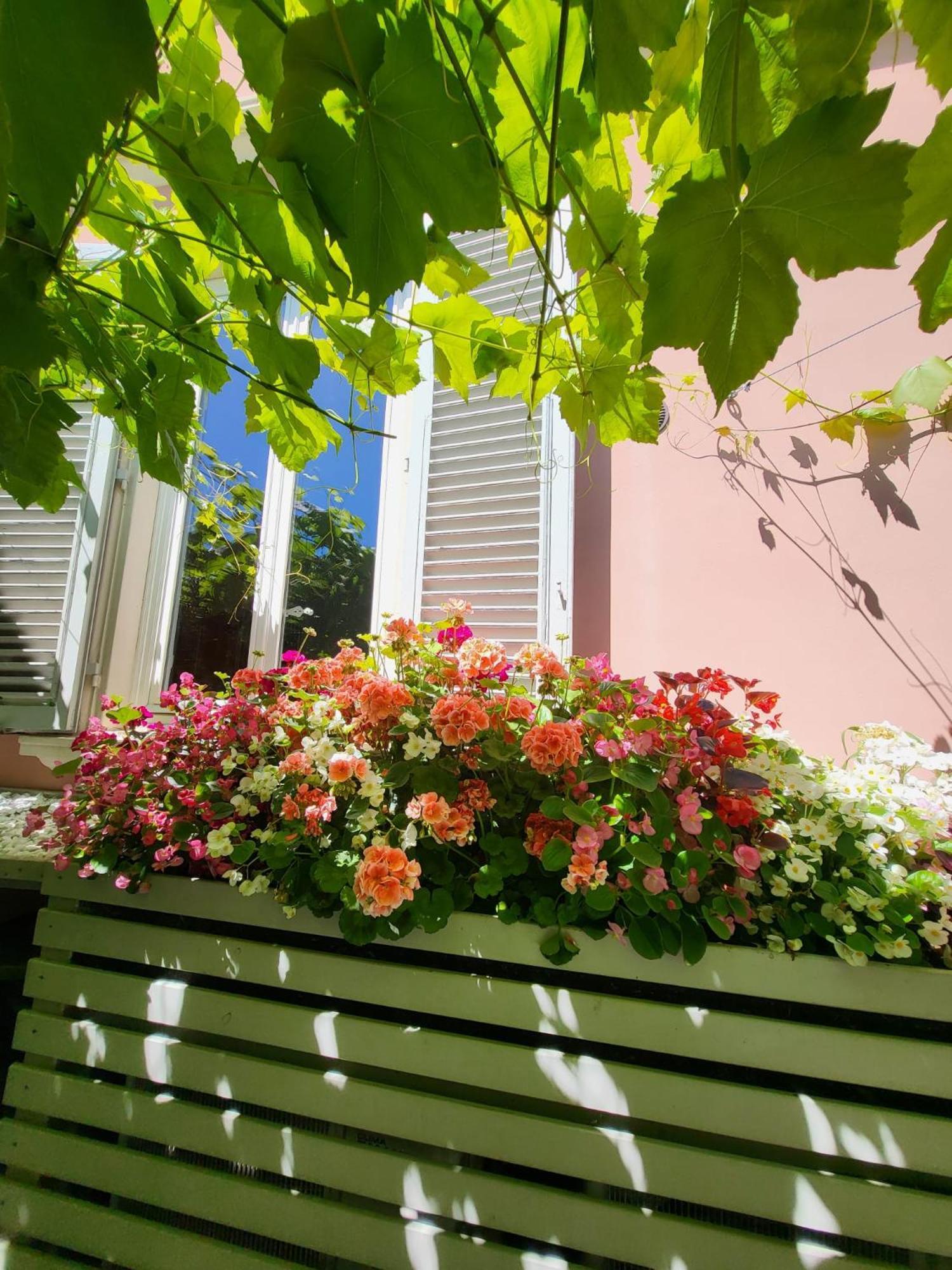 Il Buen Retiro Hotel Лука Екстериор снимка
