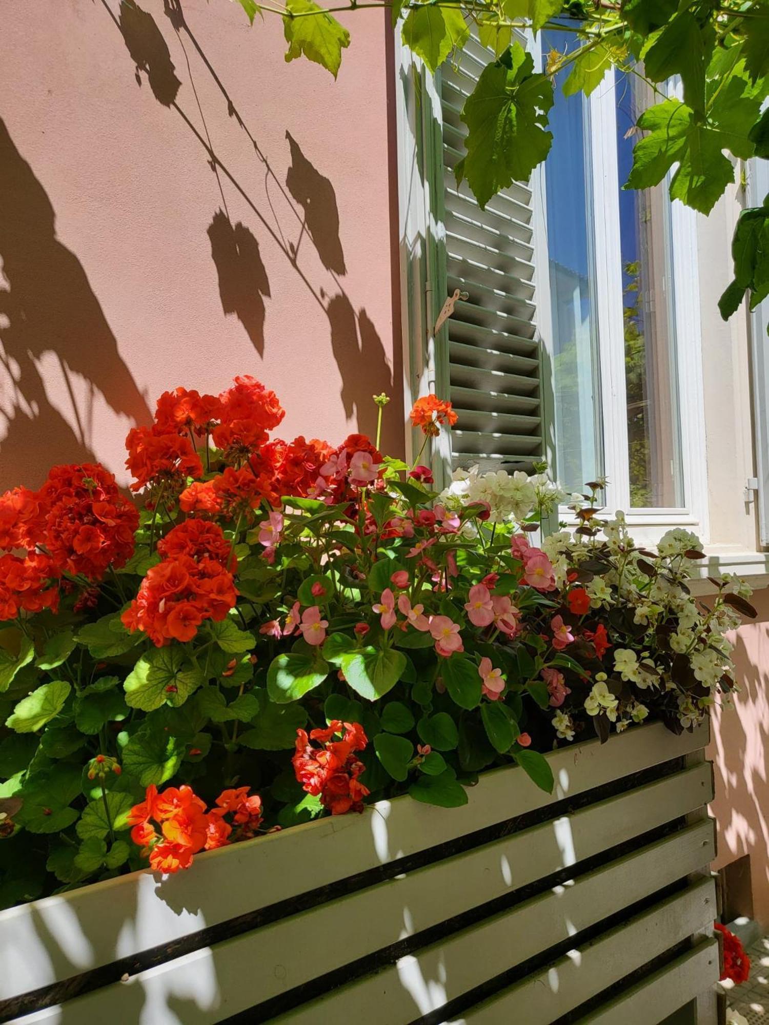 Il Buen Retiro Hotel Лука Екстериор снимка