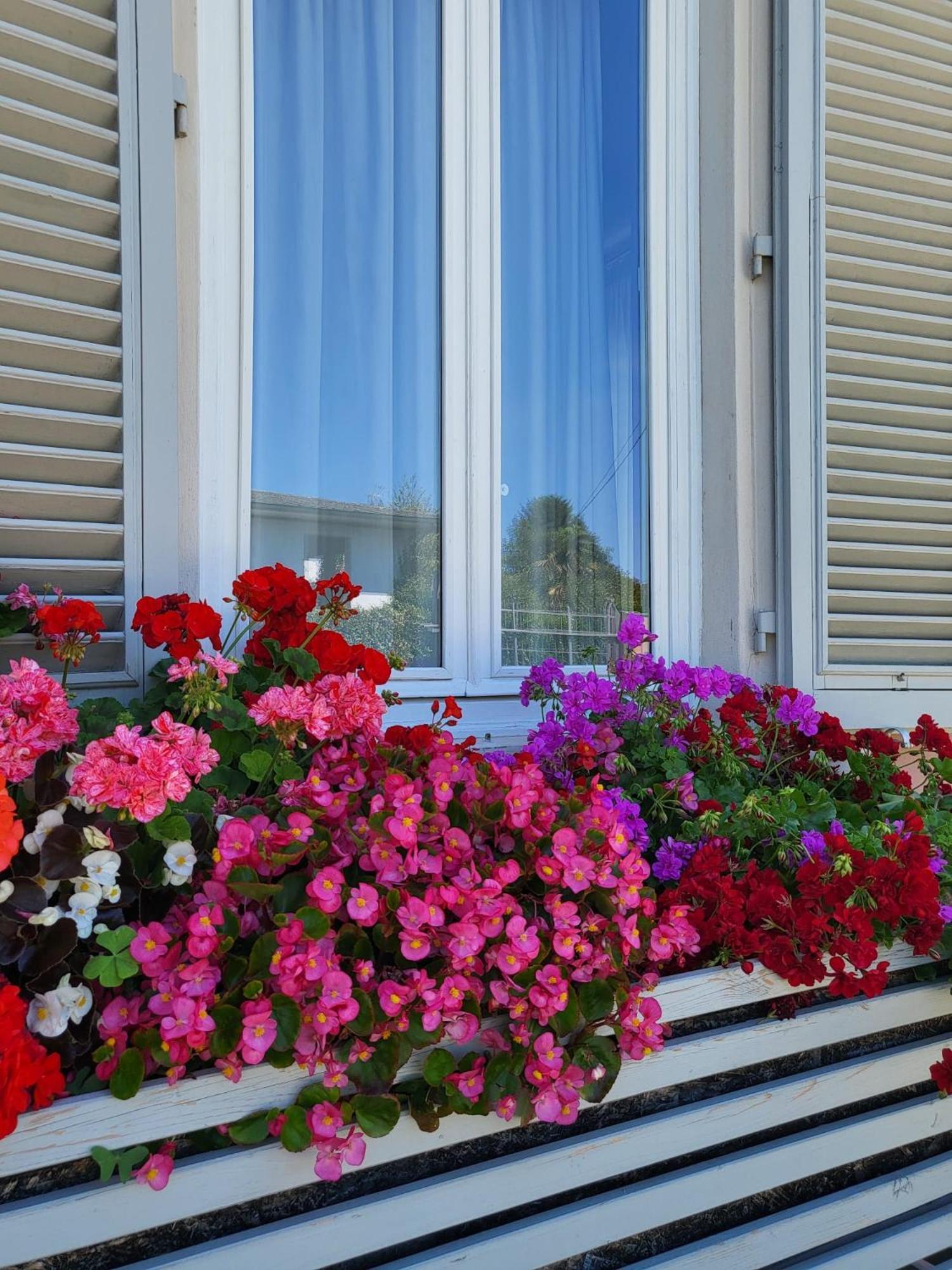 Il Buen Retiro Hotel Лука Екстериор снимка