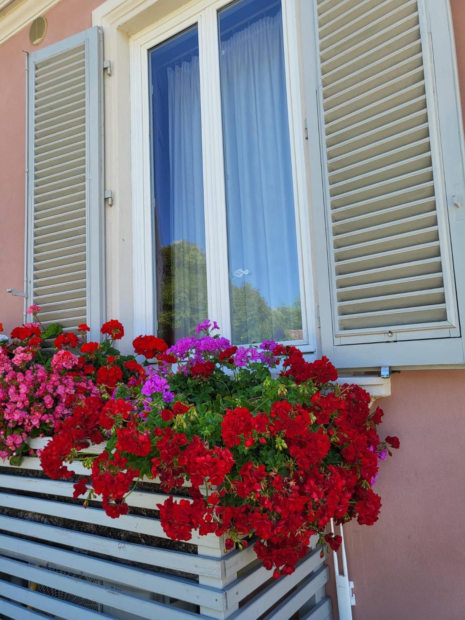 Il Buen Retiro Hotel Лука Екстериор снимка